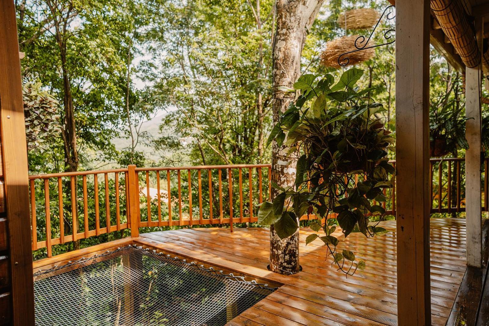 Au Jardin Des Colibris Ecolodge&Spa Deshaies Exterior photo
