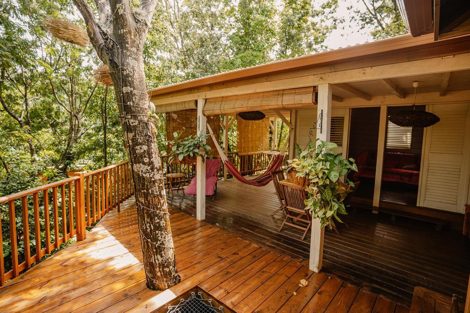 Au Jardin Des Colibris Ecolodge&Spa Deshaies Exterior photo