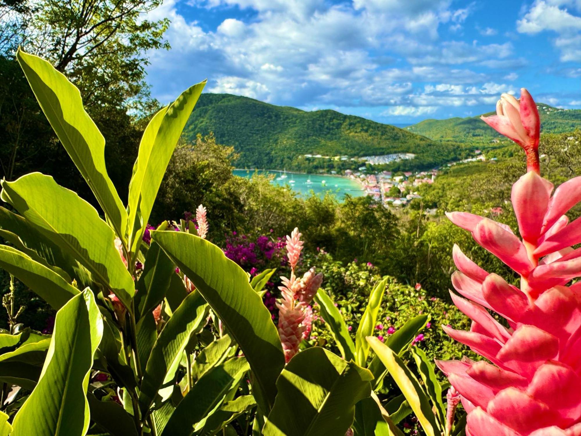 Au Jardin Des Colibris Ecolodge&Spa Deshaies Exterior photo